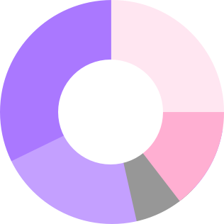 Bad example: wedges of donut chart using light pastel colors alone